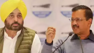 Punjab CM Mann to Meet President Over AAP MPs Joining BJP