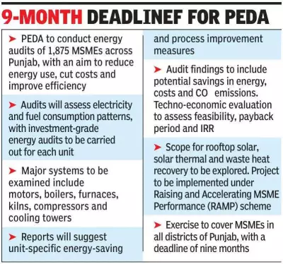 Punjab Launches Major Energy Audit Initiative for 1,875 MSMEs to Boost Efficiency