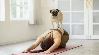 Puppy Yoga: The Therapeutic Wellness Trend Blending Mindfulness with Animal Companionship