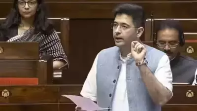 Raghav Chadha's 'Recently Removed' Remark in Rajya Sabha Sparks AAP Unity Debate