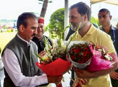Rahul Gandhi Attends Congress Training Workshop in Himachal Pradesh