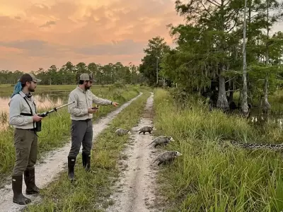 Scientists Use Possums With Trackers to Locate Giant Burmese Pythons in Florida