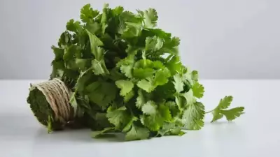 Simple Tricks to Keep Coriander Fresh for a Week or More