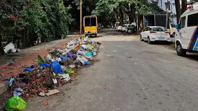 South Bengaluru's Clean Image Tarnished by Mounting Garbage Complaints