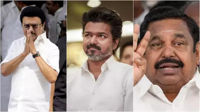 Tamil Nadu 2026 Elections: TVK's Entry Disrupts Dravidian Strongholds in Southern Districts
