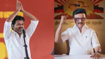 Tamil Nadu Assembly Elections: Campaigning Concludes, Final Appeals Made