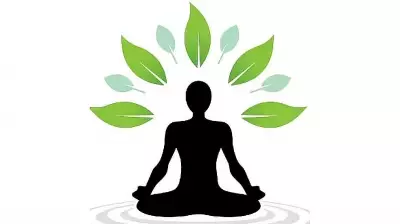 The Power of Stillness: How Embracing Quiet Can Transform Your Life