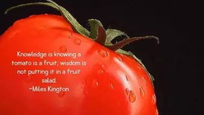 The Tomato Wisdom: A Humorous Lesson on Knowledge vs. Common Sense