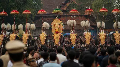 Thrissur Pooram Celebrations Curtailed After Fireworks Tragedy