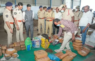 Tirupati Police Incinerates ₹20 Crore Cannabis Cache in Major Drug Crackdown