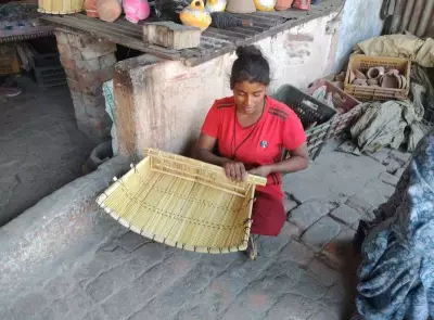 Traditional Winnowing Baskets Face Decline in Ludhiana Amid Modernization