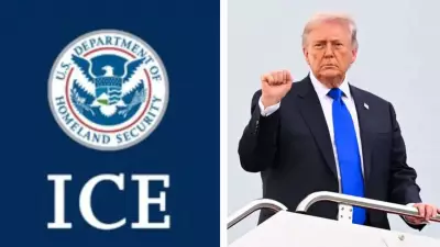 Trump backs renaming ICE to NICE, viral proposal sparks debate
