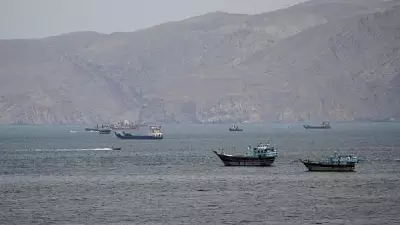 Turkey May Join Hormuz Demining After Iran-US Deal: Minister