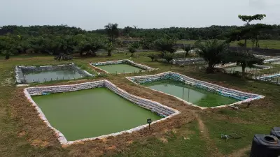 Two Children Drown in Farm Pond in Tumakuru