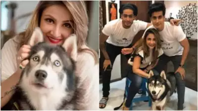 Urvashi Dholakia Mourns Beloved Pet Dog Jaeger's Passing