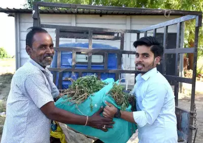 Vadodara Vegetable Seller's Son Becomes Family's First Doctor, Daughter Follows