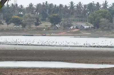 Varuna Lake Development Sparks Debate in Mysuru
