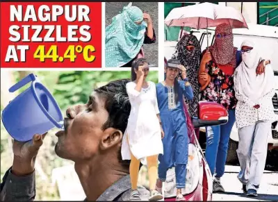 Vidarbha Heatwave: Temperatures Near Record Highs for Third Day