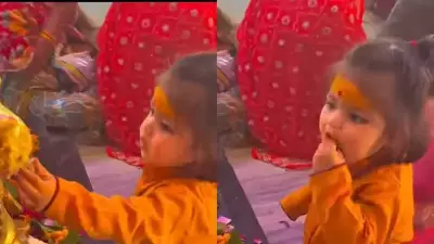 Viral Temple Video: Hungry Boy Eats Nandi Baba's Offering, Internet Melts