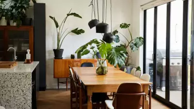 Why Your Indoor Plants Are Dying Despite Proper Care