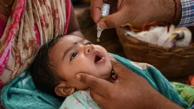 World Immunization Week 2026: Vaccines Eradicated These Diseases