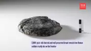 2,000-Year-Old Roman Bread Found in Switzerland Reveals Military Life