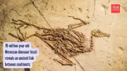 70-Million-Year-Old Titanosaur Fossil Discovered in Morocco Sheds Light on Dinosaur Evolution