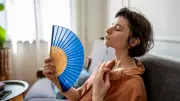 AC vs Fan: Which Is Healthier in Extreme Heat? Expert Advice