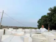 Anantapur Farmer Redefines High-Yield Chemical-Free Farming in India