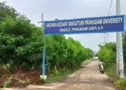 Andhra Pradesh's Prakasam University to Finally Get Permanent Campus in Ongole
