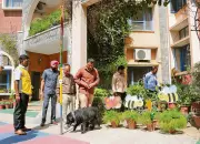 Another Bomb Hoax Disrupts City Schools in Chandigarh, Police Investigate