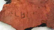 ASI Discovers Chera-Era Potsherd with Tamil-Brahmi Inscription in Tirupur