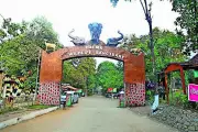 Awareness drive reduces turnout, hunting at Dalma sanctuary festival