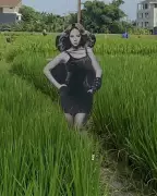 Bali Farmers Hire Beyoncé as Scarecrow: Viral Video Shows Pop Icon Guarding Crops