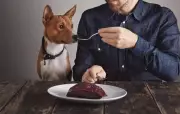 Behind the Cake: What Goes Into a Pet-Safe Dessert