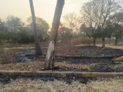 Bengaluru Residents Fight Air Pollution from Waste Burning in Kambipura and Rampura