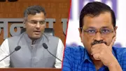 BJP Attacks Kejriwal After Chadha Exit, Shares 'Sheeshmahal 2' Pics