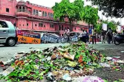 BJP Councillors Plan Ward-Wise Network in Jaipur Ahead of Civic Polls
