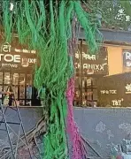 BMC Seeks Police Action Against Bandra Salon for Painting Banyan Tree