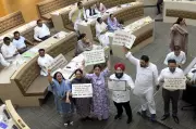 Chandigarh Municipal Corporation Demands CBI Probe into Rs 116 Crore Fake FDs