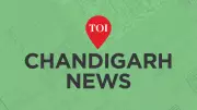 Chandigarh Police Register Case for Rs 1.3 Lakh Mask Scam with China Firm