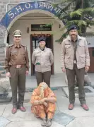 Chandigarh Woman Arrested in Shimla with 40 Grams of Chitta