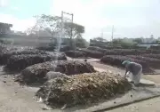 Chennai Corporation Plans New Composting Plants to Manage Wet Waste