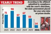 Chhattisgarh HC Told 354 Prisoner Deaths Since 2021, State Cites Improved Healthcare