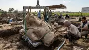 Colossal Ramesses II Statue Fragment Unearthed in Egypt's Nile Delta