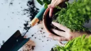 Complete Australian Autumn Gardening Guide: What to Plant in April-May 2026