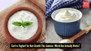 Curd vs Yoghurt: Which is Better for Summer Hair Growth and Scalp Health?