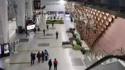 Customs Seize Rs 13 Crore Marijuana at Delhi Airport, Arrest Bangkok Arrival