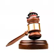 Delhi Court Dismisses Illegal Detention Plea in Janakpuri Biker Death Case