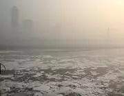 Delhi Government to Install 41 Online Stations for Real-Time Yamuna River Pollution Monitoring